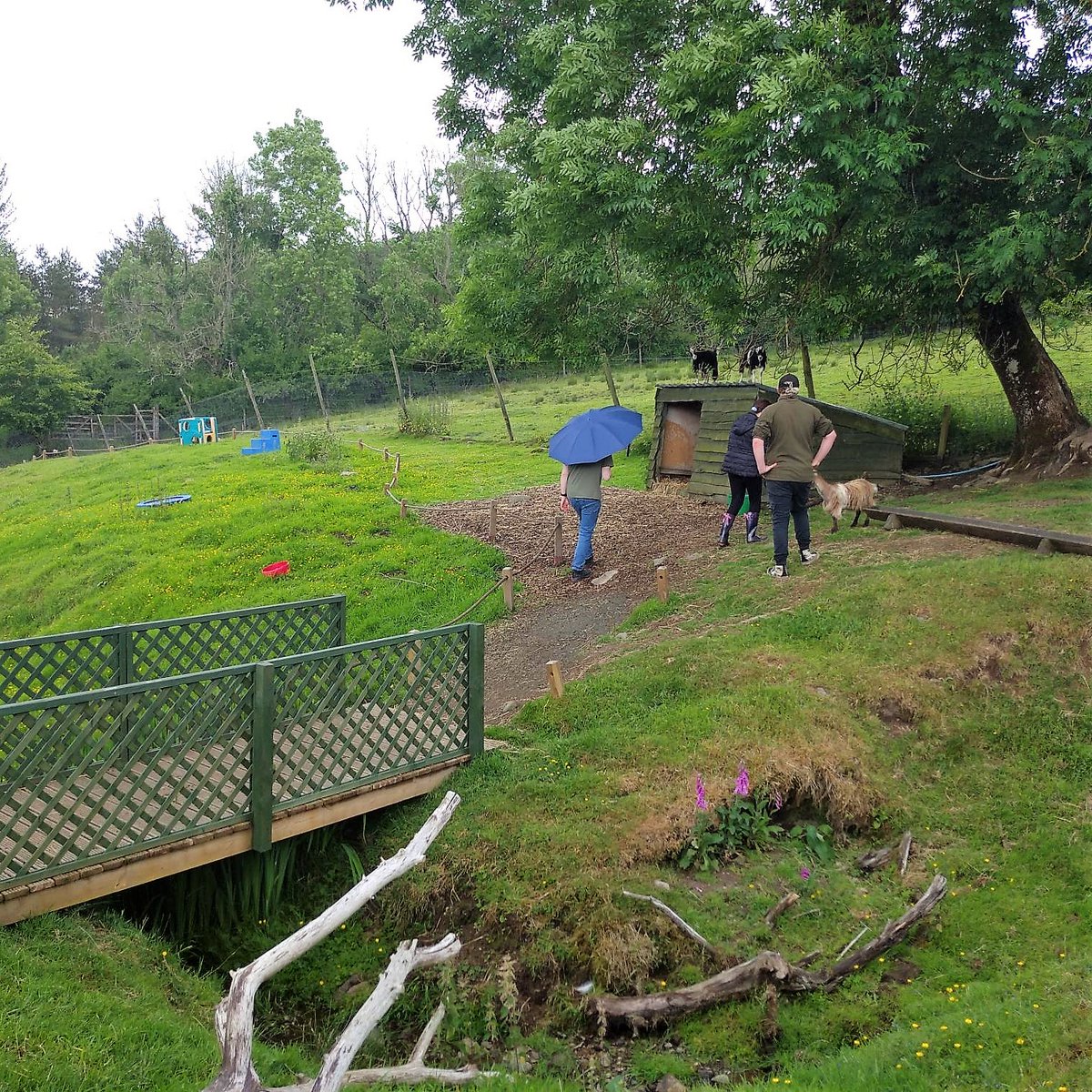 TheStarfishWay's tweet photo. The open group took an extended visit to help support volunteer activities in the aviary at Auchingarrich wildlife centre in Comrie.
The group worked really well as a team and really grafted away.
Thank you @Auchingarrich for facilitating our visit.
#DofE #PKDofE #StarfishWay https://t.co/jRyJHMb2u9