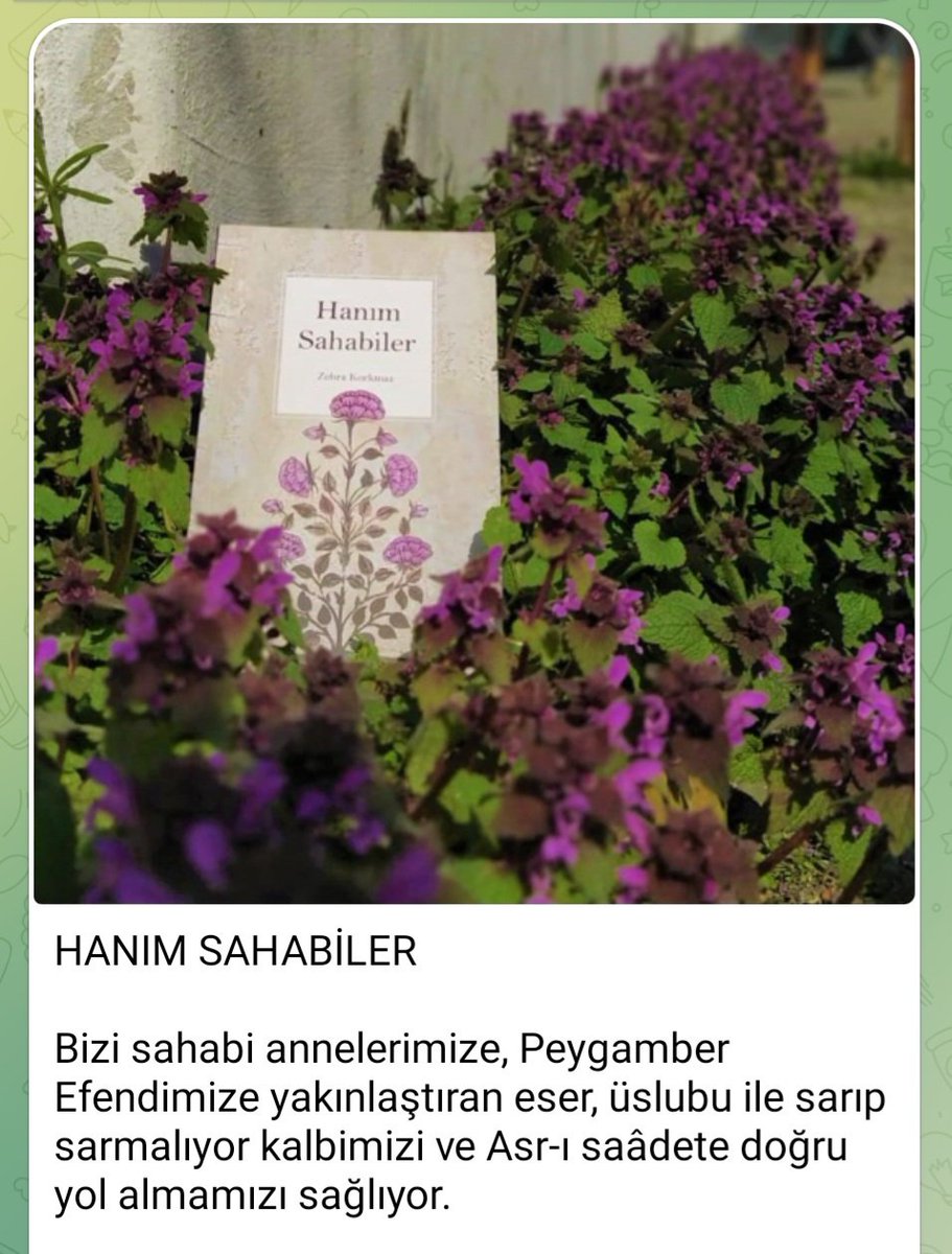 RAŞİT SAĞLAM (@rasitsaglam) on Twitter photo 