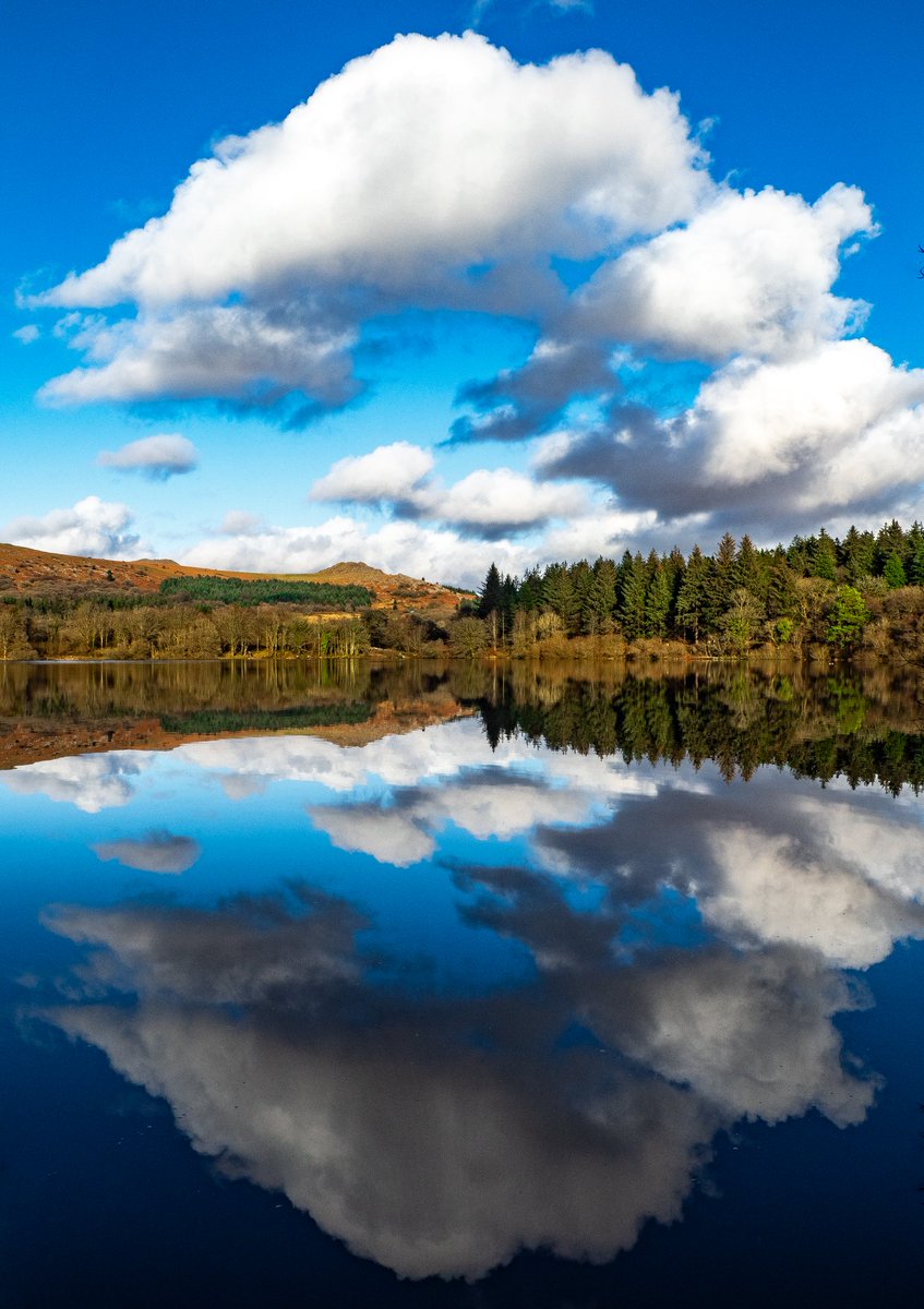 Time to Reflect at Burrator Reservoir

#dartmoor #burrator #reflections