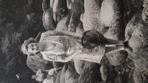 YMT_Adam's tweet image. In 2022 @YorkshireMuseum acquired the entomological collection of Joyce Payne, a Yorkshire Naturalist.    /

#InsectWeek 
#InsectWeek23