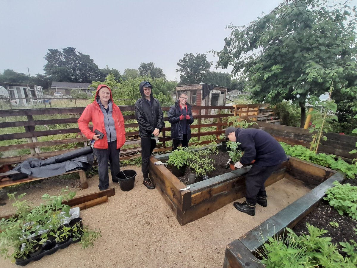 LEAPcfc's tweet photo. Tomato planting in the rain - that's dedication #communitygreen https://t.co/UXQbbciU93