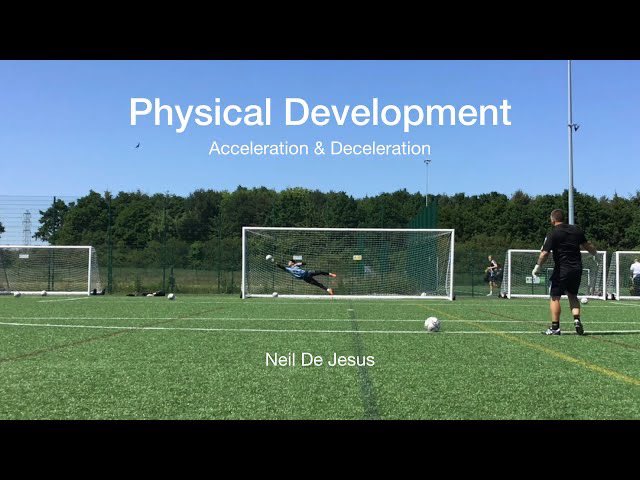 Elite GK Academy tweet media