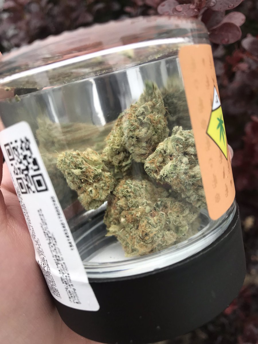 WorldofWeedRec's tweet image. Goooood morning Wow Fam!!!

In honor of one of our awesome team member’s birthday’s, here is her favorite strain from Freddy’s finest 😏

Come try the carrot cake and other great Freddy’s strains 30% off today only!!

#fire #deals #freddysfuego #freddysfinest #cannabiscommunity