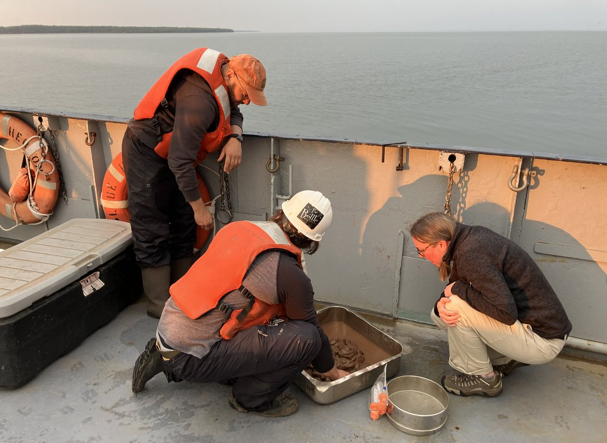Biological Limnology Lab (@biolimlab) on Twitter photo How much 'ploca could a PI pluck if a PI could pluck 'ploca? #ALot. 
The @OzerskyLab joined <a href="/UmdLLO/">LLO</a> and @umces Horn Point Lab scientists last week to search for sulfur-oxidizing, sheath-building #Thioploca bacteria in the Great Lakes. Stay tuned for more #microbialactivity. How much 'ploca could a PI pluck if a PI could pluck 'ploca? #ALot. 
The @OzerskyLab joined <a href="/UmdLLO/">LLO</a> and @umces Horn Point Lab scientists last week to search for sulfur-oxidizing, sheath-building #Thioploca bacteria in the Great Lakes. Stay tuned for more #microbialactivity.