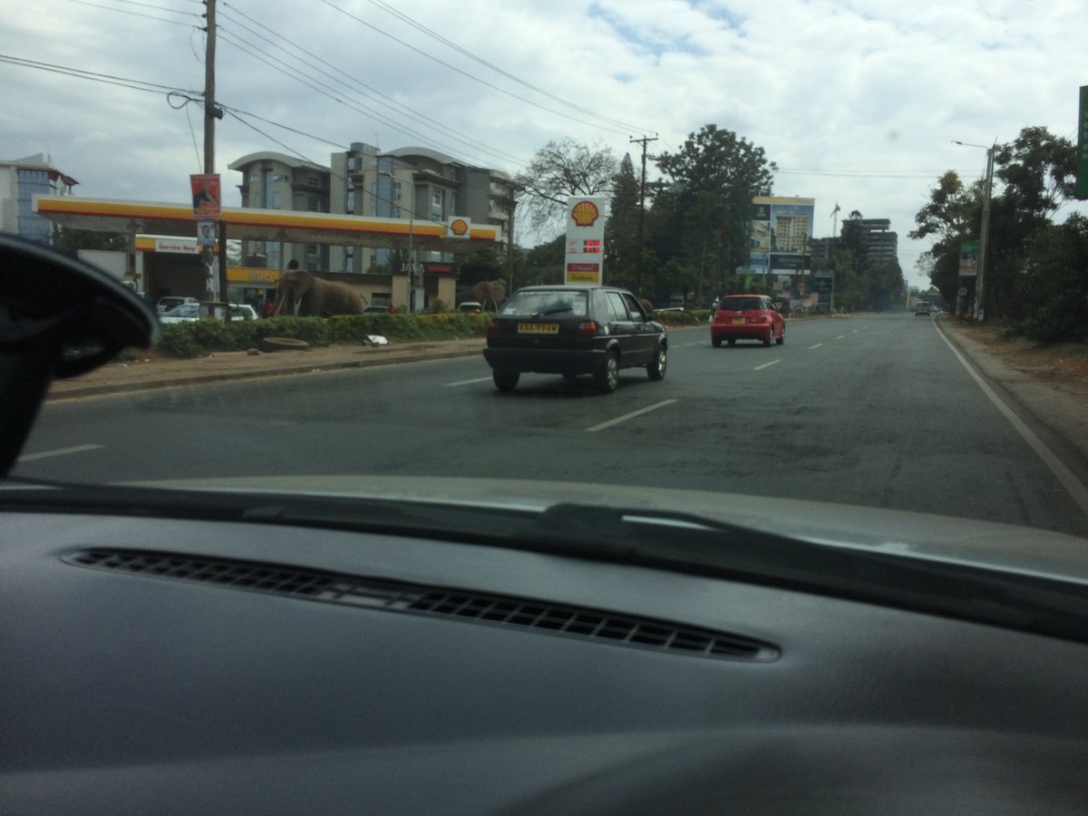 Good old waiyaki way #waiyakiway