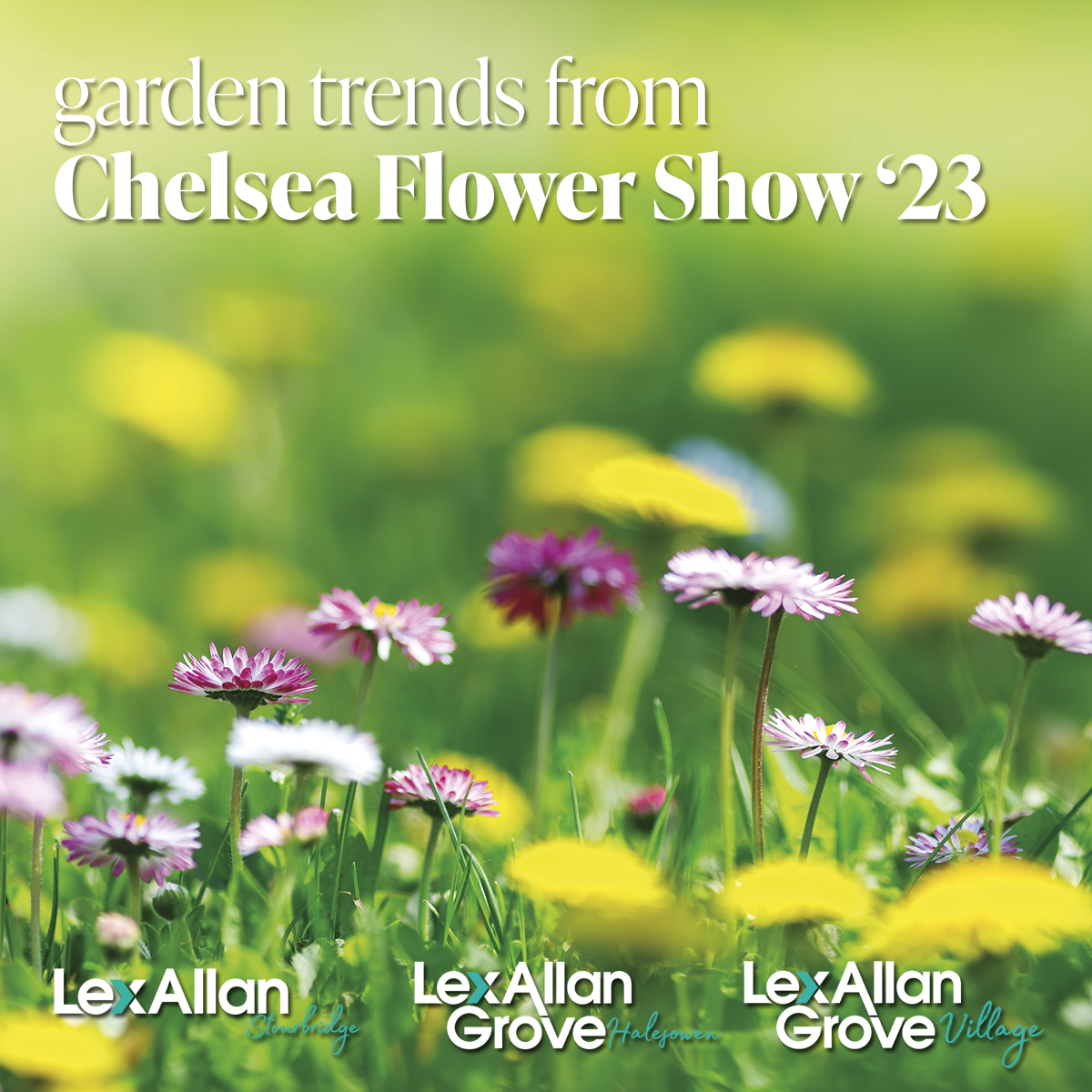 Gardening Trends from the Chelsea Flower Show that could help sell your home
No matter how large or small our outdoor space is, it's always been an important facet when selling a property
#EstateAgents #ExceedingExpectations #Hagley #Halesowen #Stourbridge
lexallan.co.uk/success-storie…
