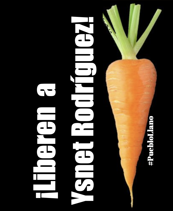 Naky's tweet image. Ayudemos al agricultor Ysnet Rodríguez 🥕

- Perdió su cosecha por la escasez de combustible, es decir, por culpa del Estado
- Y por denunciar esa circunstancia en redes sociales, el Estado lo judicializa acusándolo de boicot

#PuebloLlano 
#DerechosHumanos