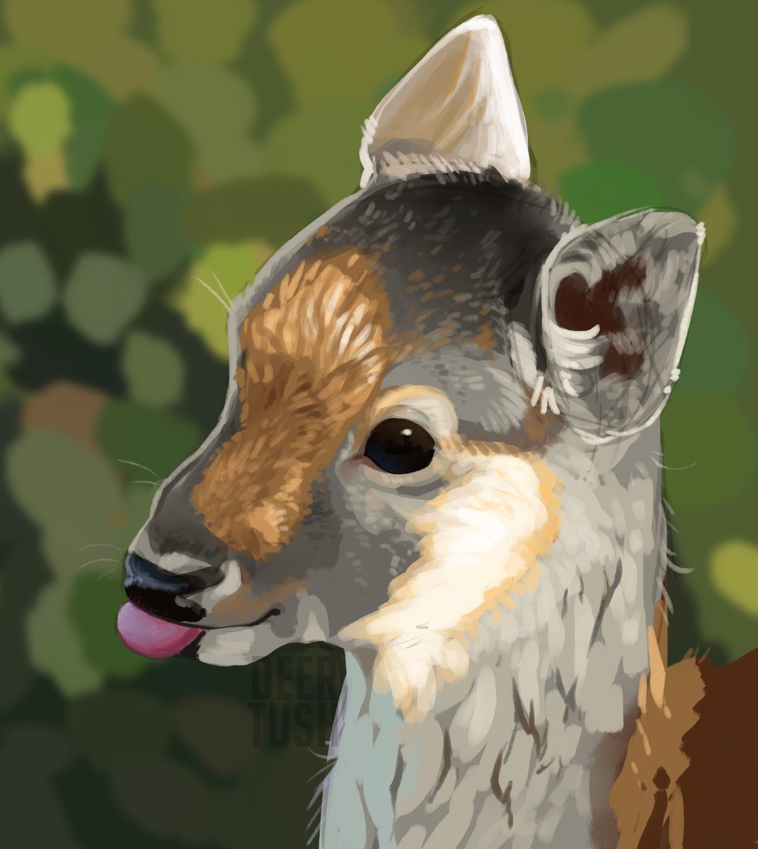 Deertush's tweet photo. " :p " sorry my twitter is now just me posting studies ♥ im self conscious about my other stuff heehee https://t.co/zgyP68fI4S