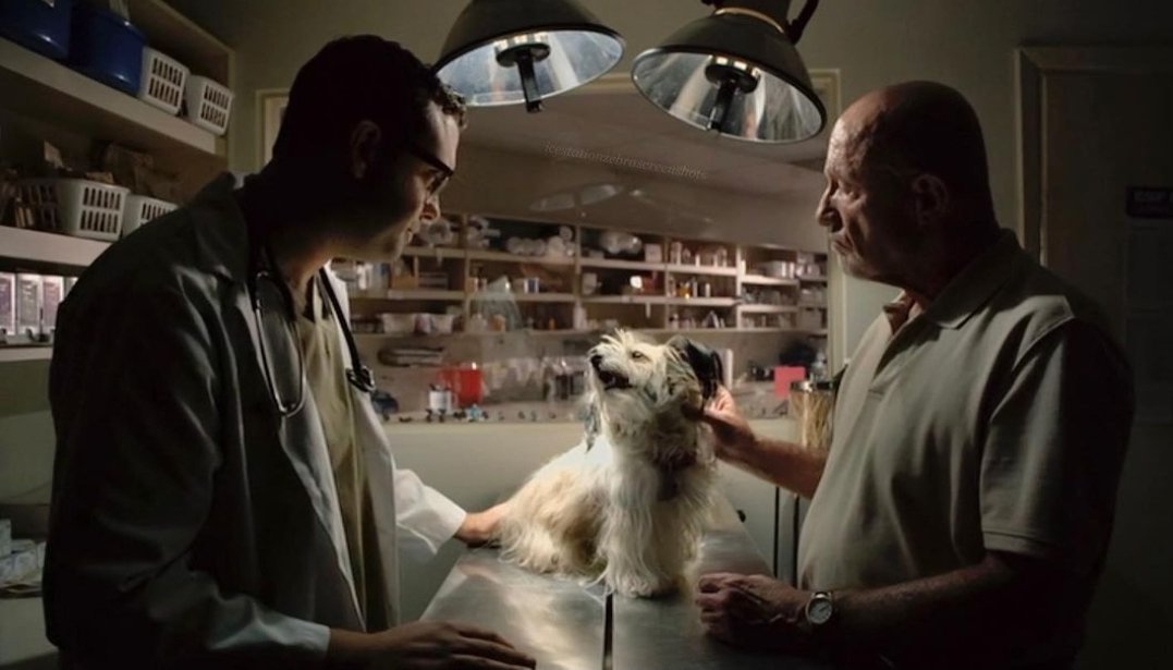 I love how Dr. Caldera really was a caring veterinarian.