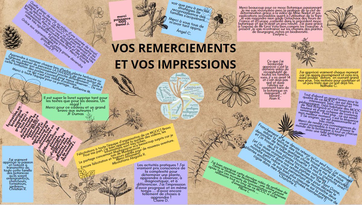 MOOC TelaFormation tweet media