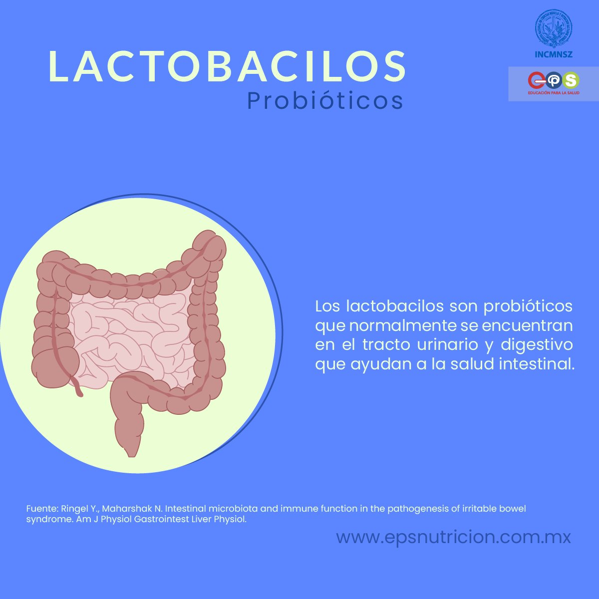INCMNSZ_EPS's tweet image. #Lactobacilos | Instituto Nacional de Ciencias Médicas y Nutrición Salvador Zubirán

#Probióticos #Prebióticos #SistemaDigestivo #SistemaInmunitario #Gastroenterólogo #ProbióticosNaturales #EPS #INCMNSZ