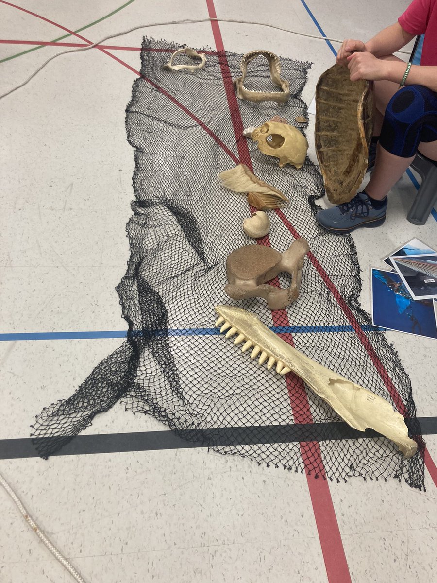 We had an amazing presentation from <a href="/OceanWiseEdu/">Ocean Wise Education</a> today for the k-6 classes. It was interactive and informative. The students were enthralled by the variety of materials presented! <a href="/OCDSB/">OCDSB</a>