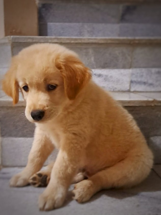 Abang Incon tweet media