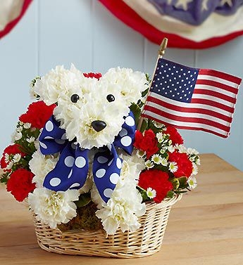 We're excited to introduce our #patriotic arrangement: Yankee Doodle Doggie!
It's the perfect way to celebrate all things American, and it's sure to put a smile on anyone's face. 😊

#celebratewithflowers #veldkampsflowers #denvercoflorist #lakewoodflorist #flowerdelivery