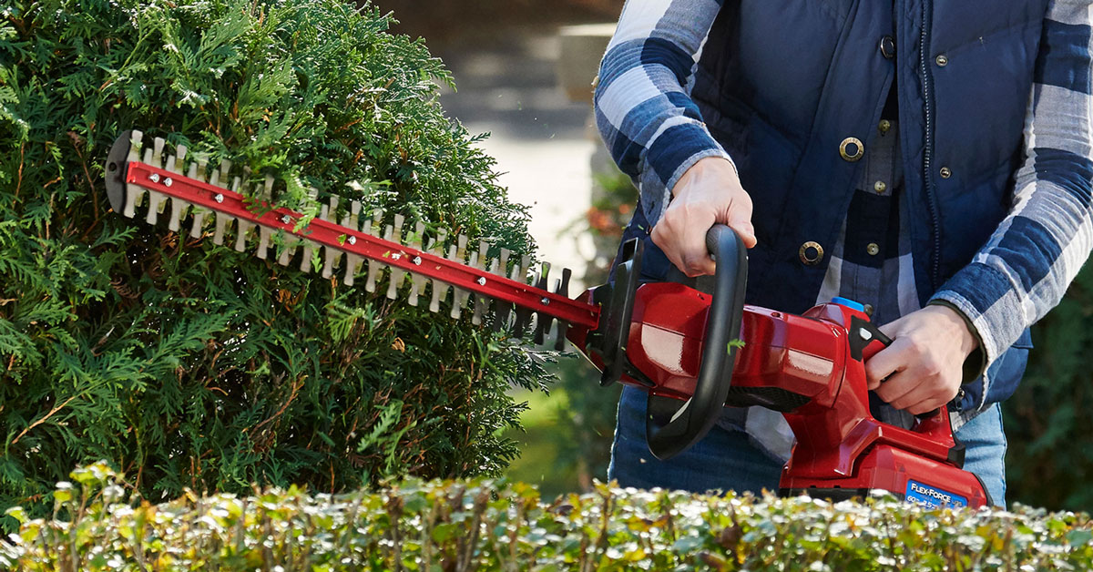Get easy, vertical trimming at the push of a button with Toro's 60V battery hedge trimmer. Available here at R Braun Inc.

#rbrauninc #toro #hedgetrimming #batterypowered