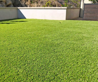 There are many benefits to switching to artificial turf! For one, it requires little maintenance to keep it green all year. You can leave your watering and mowing days behind! Learn more about our synthetic grass on our site: bit.ly/3PlBc62

#lowmaintenance #lawn #turf