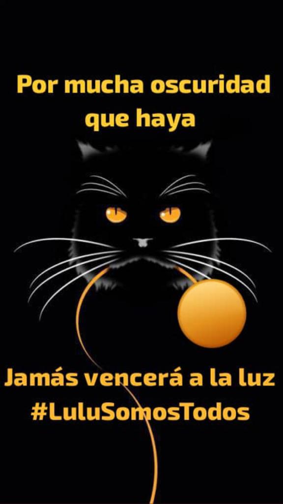 Gracilaria235's tweet photo. #20Jun Hay que ponerse en el lugar d @NuriTrejo  y #Lulu  y compartir sus sentimientos.  #SafariCarabobo  no se hagan los indiferentes  con el caso  d #Lulu  cometido  por ##EstafaEstelar  #Isolina #CarmenSanchez y #CarolinaCorona #LuluEsDeTodos #DevuélvanALulu #Seguimos #SeBusca https://t.co/5ncU1TsUVx