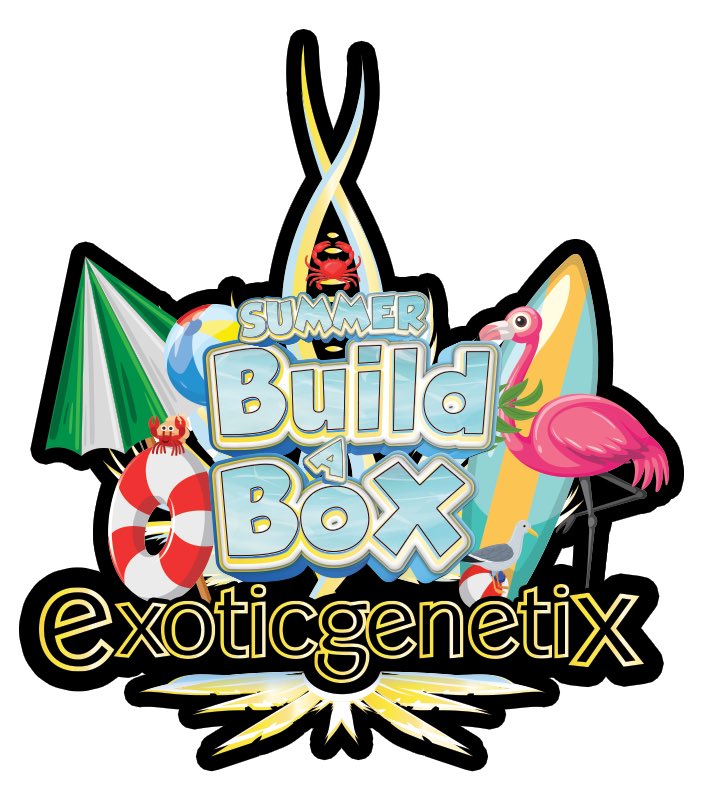 Summer Build-A-Box releasing June 21st on exoticgenetix.com! Wait till you see what’s inside!!! 😱😱😱 #exoticgenetix #buildabox #itsalifestyle