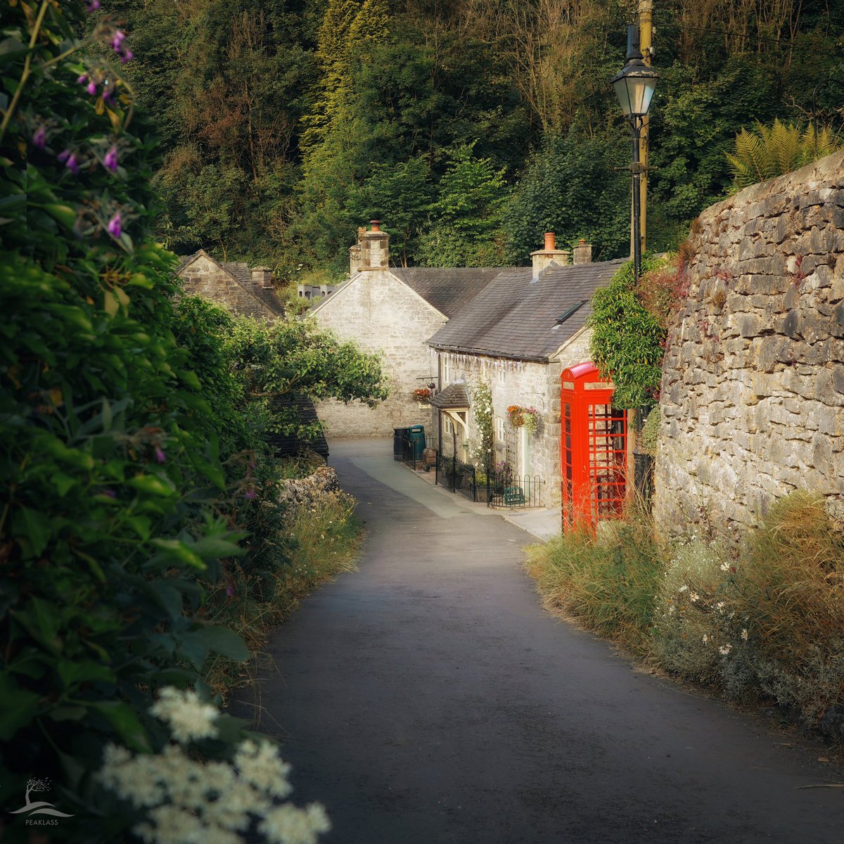 Treading softly down the lane at daybreak into the beautiful little hamlet of Milldale, where the ducks are still snoozing beside the River Dove. I walk quietly so as not to wake the residents but also so as not to break the spell that I’m sure exists here.