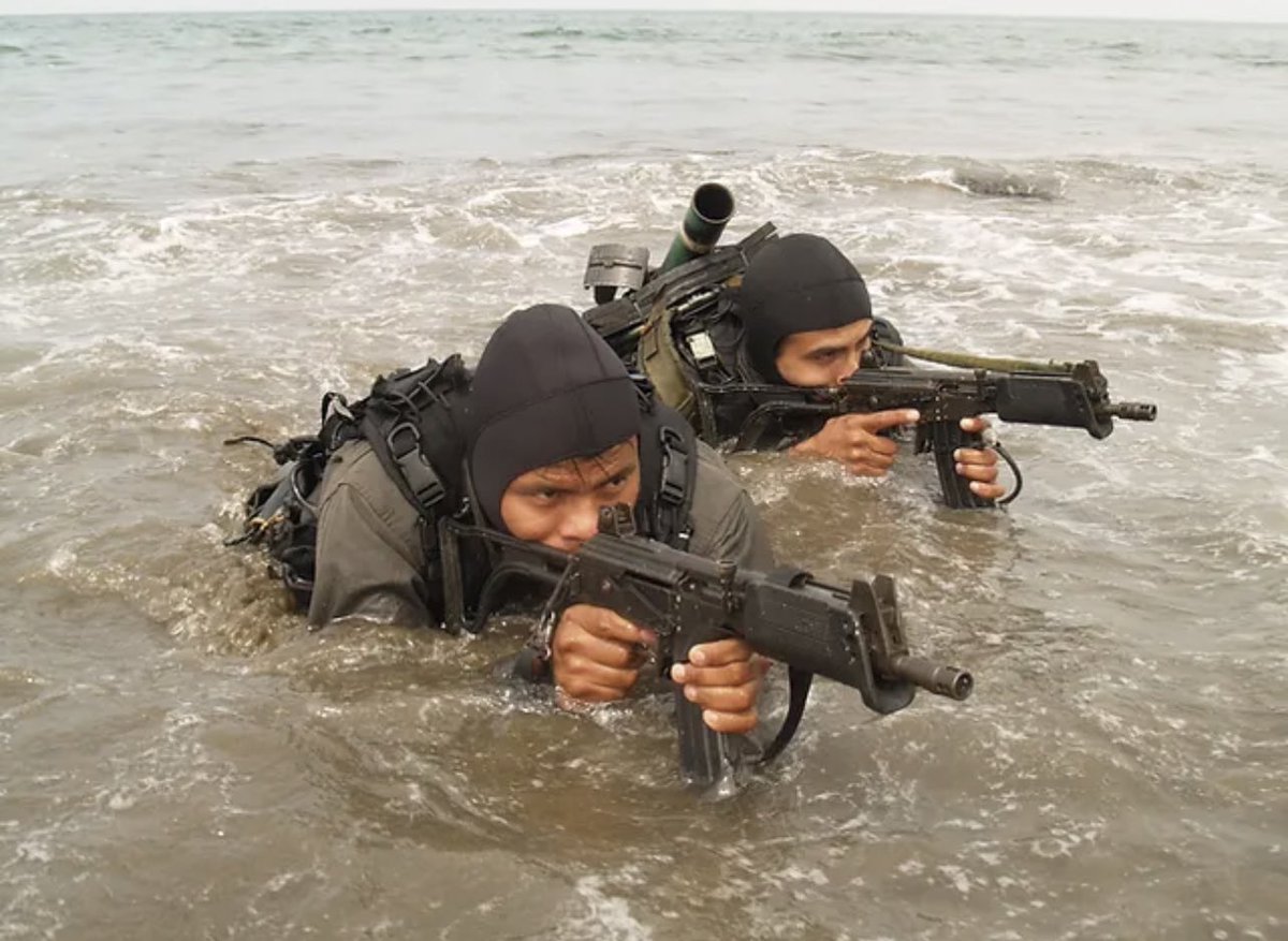 PucaraD's tweet image. Los medios de #combate de los #Comandos #Anfibios de la @naval_peru
#Infantería #VRAEM #bacom #senderoluminoso #droga #citen #terrorismo #antonov @Fokker @Sikorsky #milmi #helicoptero #infiltracion #imara 

pucara.org/post/los-medio…