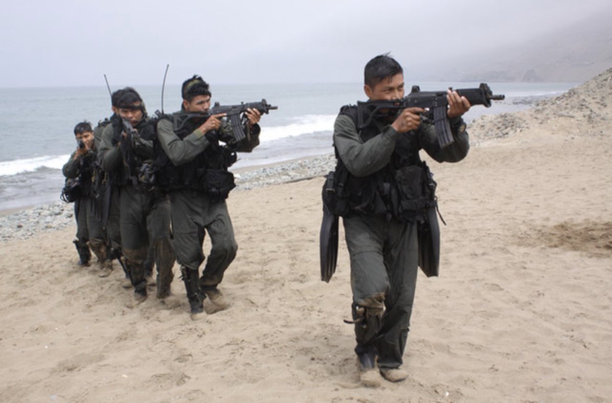 PucaraD's tweet image. Los medios de #combate de los #Comandos #Anfibios de la @naval_peru
#Infantería #VRAEM #bacom #senderoluminoso #droga #citen #terrorismo #antonov @Fokker @Sikorsky #milmi #helicoptero #infiltracion #imara 

pucara.org/post/los-medio…