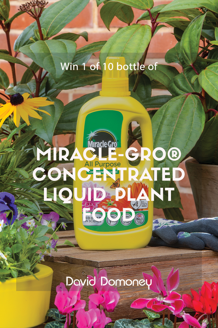 #ad

Enter my free prize draw for your chance to win #MiracleGro Concentrated Liquid Plant Food. I have 10 bottles to give away.

👉  bit.ly/3ouOdPL

Closes 30/06/23 at 11:59PM
UK Residents Only
T&C's Apply

#PaidPartnership #WinItWednesday #FreebieFriday