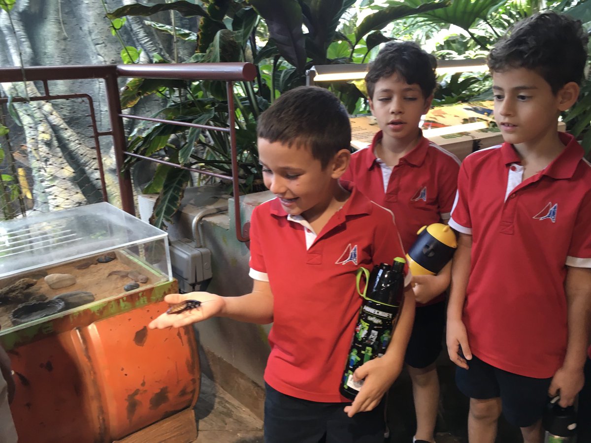 ClareHibbard's tweet image. Field trip fun. Putting the knowledge we have learned into practice at Green Planet ⁦@DAAElementary⁩