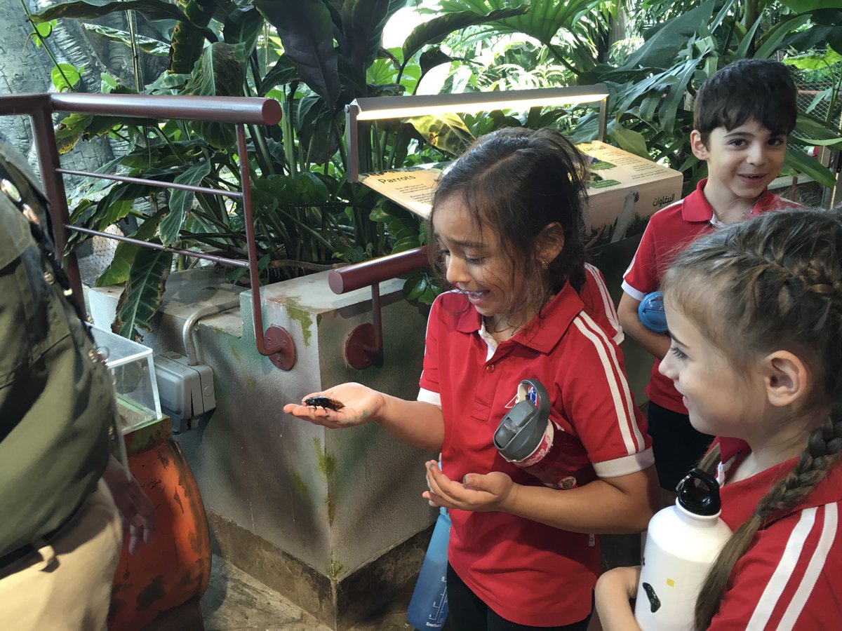 ClareHibbard's tweet image. Field trip fun. Putting the knowledge we have learned into practice at Green Planet ⁦@DAAElementary⁩