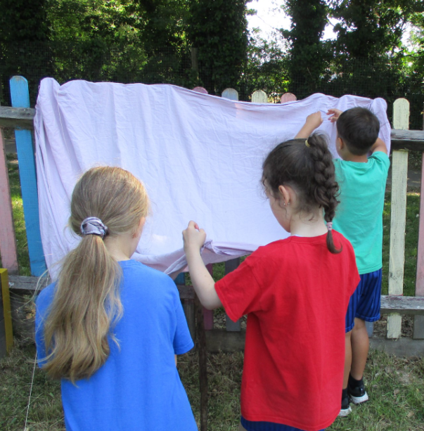 SalfordsSchool's tweet photo. Last week we welcomed some children from Reigate Parish Church Primary School to join in some outdoor challenges in our Woodland Discovery area. The children loved building dens, making and lighting fires and eating smores!

#glfschools #reigateandbanstead https://t.co/26VrwUHCzf