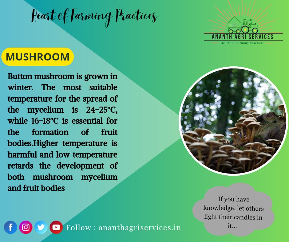 Mushrooms can be very fancy. It’s the closest you can get to eating dirt.
#agriculture #agricultureworldwide #agriknowledge #agriculturelife #agronomy #agricultureworld #agricultureindia #farminglife #farming #farmer #farmknowledge #lpu #lpuuniversity #lpudiaries