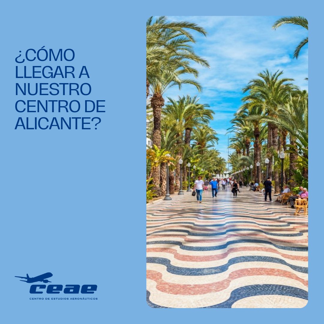 Centros_CEAE's tweet photo. Si estás interesado en estudiar en #CEAE #Alicante, ubicado en la Avenida Oscar Esplá número 4, es importante que conozcas los medios de #transportepúblico disponibles cerca de la escuela para facilitar tu movilidad:

Info: https://t.co/Ok3z2ls1cr https://t.co/9H9tglV5RR