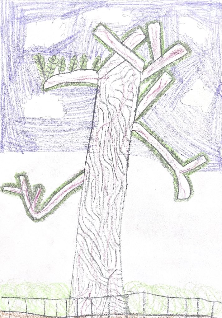 WSPEcoProjects's tweet photo. A drawing of the English Elm in #WashingtonSquarePark created by a young person during #TreeWonderWSP on June 18, 2023. https://t.co/zJlKFUF85N