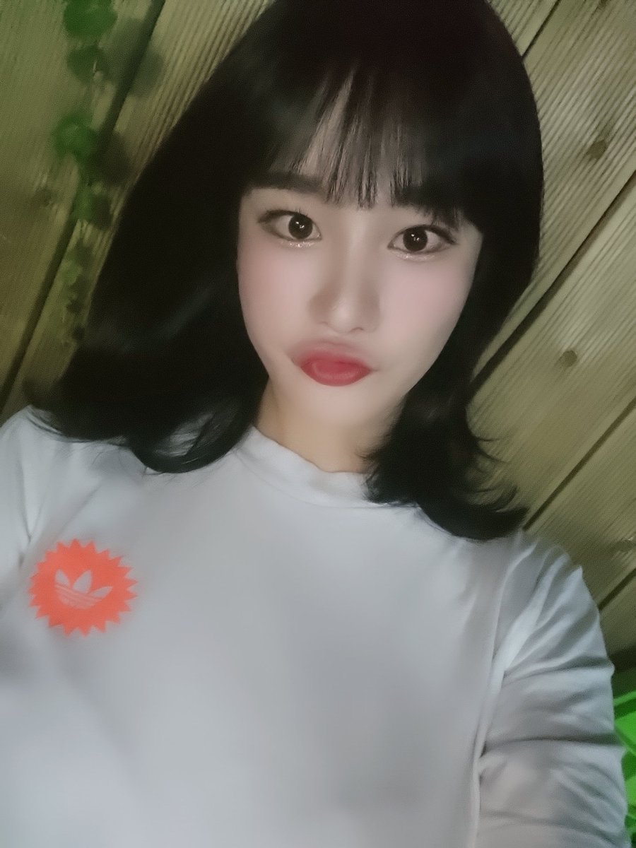 min9066's tweet photo. #트랜스젠더 #트젠 #퍼펙트가라오케 #주대문의 
단발 대따 !
퍼펙트 쇼팀 보러와 😄 https://t.co/cWEHAhqdKn