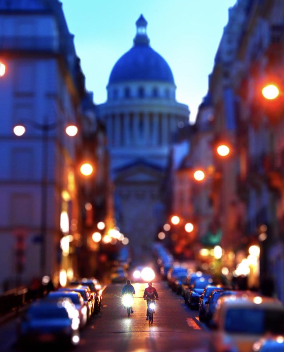 House of First tweet media