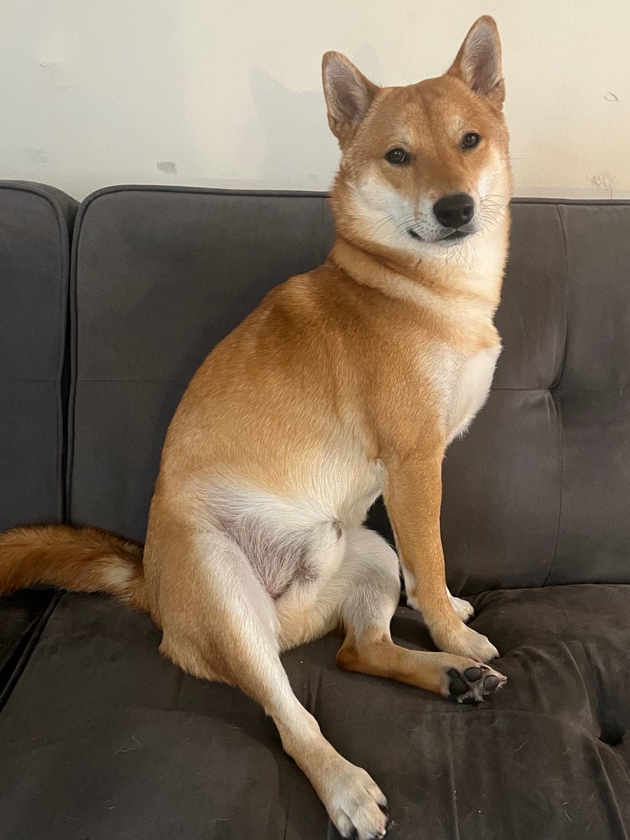 Champion mornings are what create great days. I have been tweaking mine to feel my best. Here's my pillars:
- 25 oz electrolyte water in steam shower with digestion
- Clean my room and kitchen while I drink coffee 
- Prayer and scripture study
- Plan my day (Training, Business,