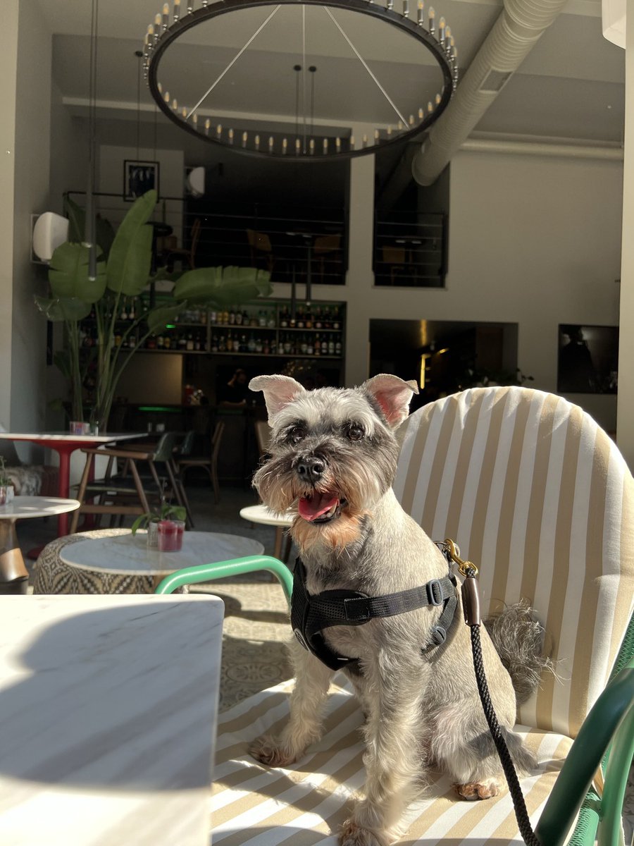 Thank you to everyone who reposted and <a href="/TurkishAirlines/">Turkish Airlines</a> <a href="/TK_HelpDesk/">TK HelpDesk</a> for helping us get home!🙏🏽