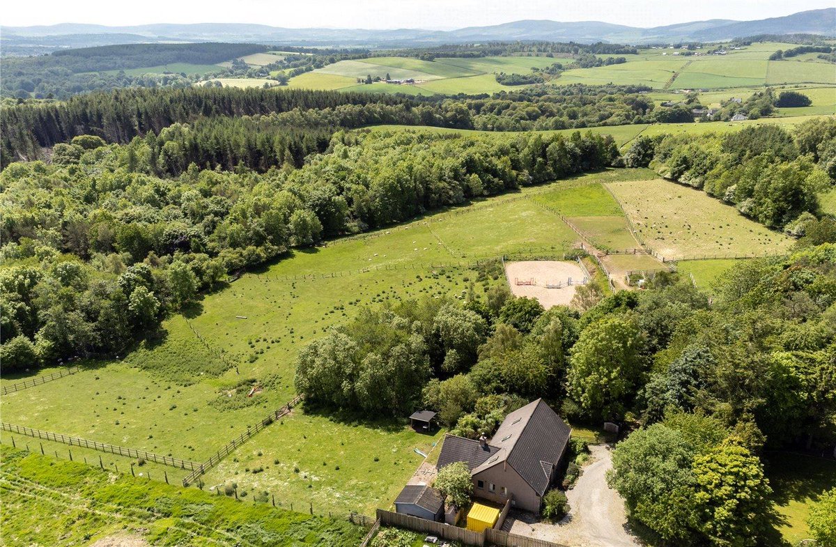 Galbraith_ABD's tweet image. EASTER AQUHORTHIES FARM🐴

An impressive detached home, with ~26 acres of land inc. grass paddocks, woodland &amp;amp; equestrian facilities. The property has an idyllic countryside spot outside Inverurie.

☎️01224 860710
👩‍💻shorturl.at/hlAHS

#EquestrianProperty #ExpertsInOurField