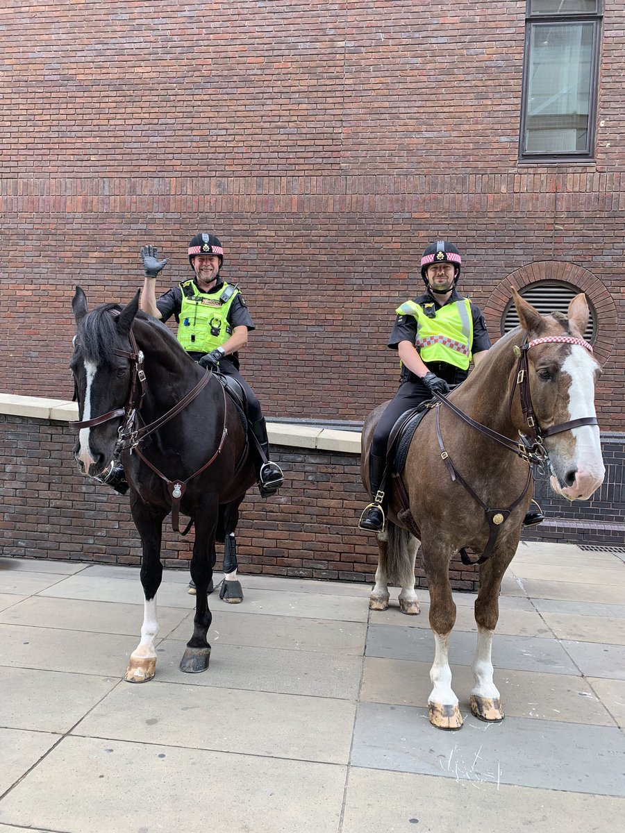 Lady Sally Miller BCAc tweet media