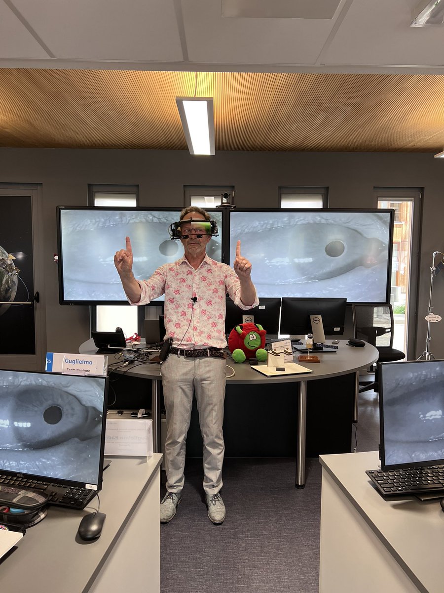 Elisa R Ferre tweet media