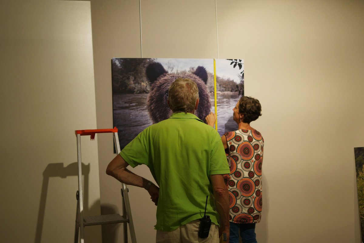 En plein montage d'exposition : "Belles Bêtes ! L'art animalier d'hier et d'aujourd'hui". Rendez-vous le 3 juillet 😍 <a href="/AvendOrgnac/">Aven d'Orgnac Grand Site de France</a>  
<a href="/MinistereCC/">Ministère de la Culture 🇫🇷</a> @Ardeche_07 @ArdecheTourisme @francebleuDA