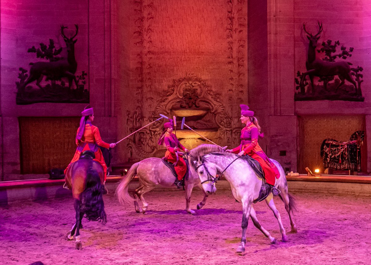 CdeChantilly's tweet image. [Spectacle] 🐴
⚠️ Dernière représentation du spectacle Totem avant la coupure estivale ce samedi 24 juin à 14h30 !

Faites le plein de couleurs flamboyantes, de danse, de voltige et de musiques envoûtantes avant l'été ! Reprise du spectacle Totem le 14 septembre.

📷 @rb_presse