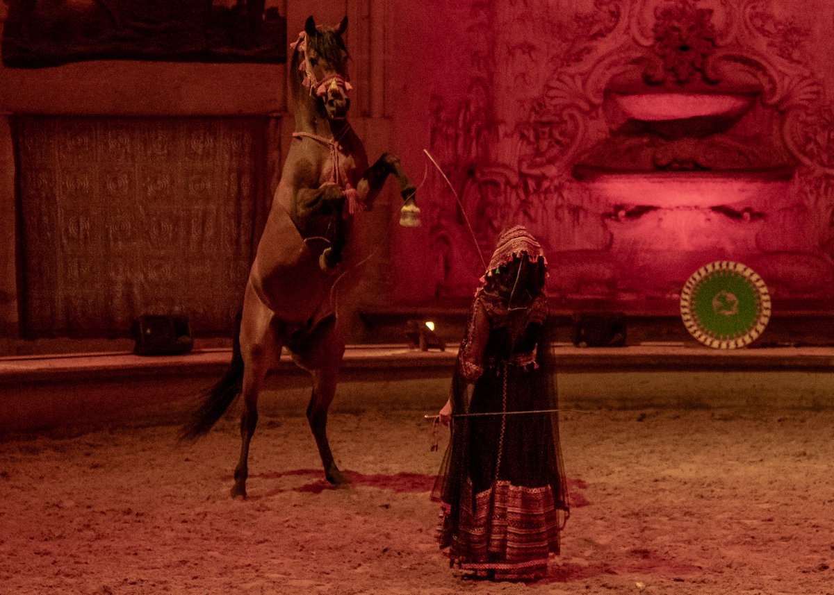 CdeChantilly's tweet image. [Spectacle] 🐴
⚠️ Dernière représentation du spectacle Totem avant la coupure estivale ce samedi 24 juin à 14h30 !

Faites le plein de couleurs flamboyantes, de danse, de voltige et de musiques envoûtantes avant l'été ! Reprise du spectacle Totem le 14 septembre.

📷 @rb_presse