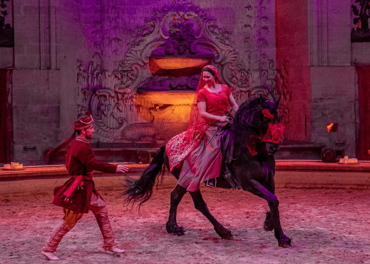 CdeChantilly's tweet image. [Spectacle] 🐴
⚠️ Dernière représentation du spectacle Totem avant la coupure estivale ce samedi 24 juin à 14h30 !

Faites le plein de couleurs flamboyantes, de danse, de voltige et de musiques envoûtantes avant l'été ! Reprise du spectacle Totem le 14 septembre.

📷 @rb_presse