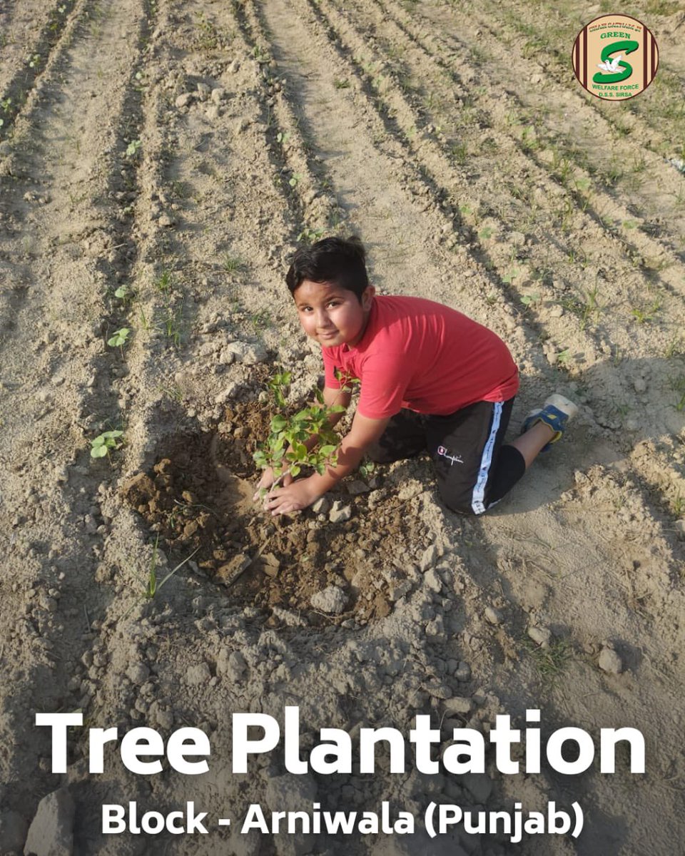 Green thumbs in action! Shah Satnam Ji Green 'S' Welfare Force volunteers are planting trees, embracing the duty of nurturing our planet. Every tree is a commitment to a brighter, greener future! 🌱🌎   #TreePlantation #Environment