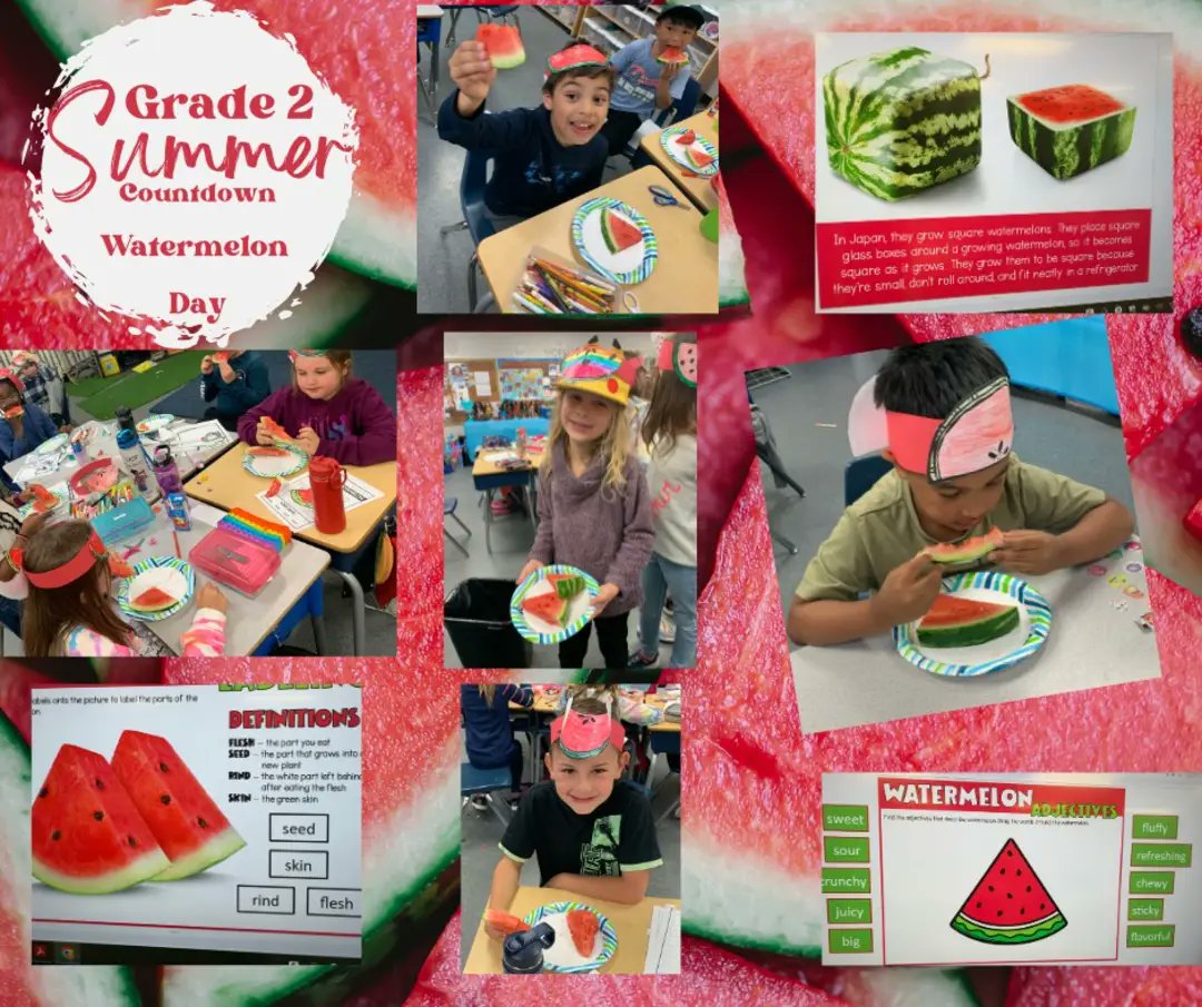 Fun Summer Countdown in Grade 2 with watermelon 🍉. Tastings, activities, and learning about the watermelon led to fun by all! Fun facts: Watermelon is 92% water & takes about 90 days to grow from planting to harvesting. @ChristianFMPSD @FMPSD @Mr_Shewchuk @APPLESchools