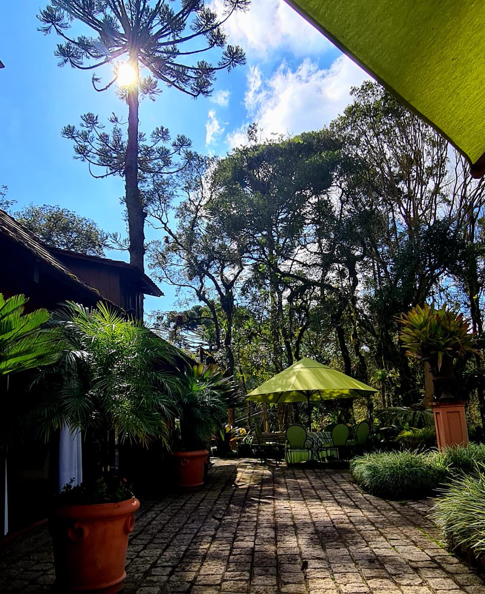 RafaelGreca's tweet image. #BomDiaComPoesia Gonçalves Dias escreveu: &quot;O mundo é um sonho dourado. O céu, um manto azulado. A vida, um hino de amor.&quot; Foto de um jardim com #LuzDosPinhais. #PazEBem #BomDiaDoPrefeitoGreca