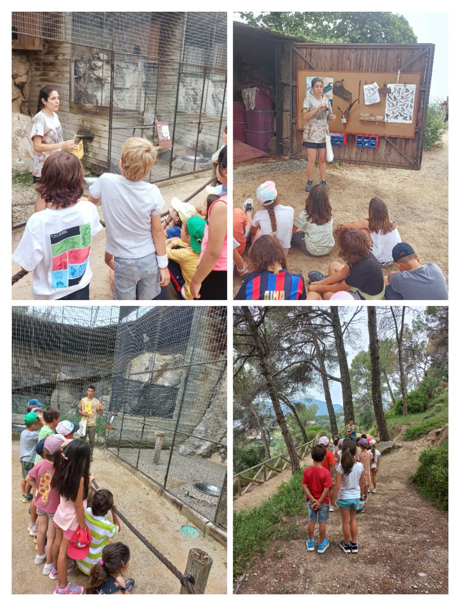 Escola Pit-Roig tweet media