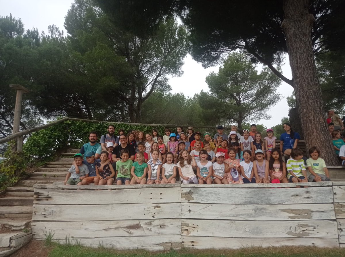 Escola Pit-Roig tweet media
