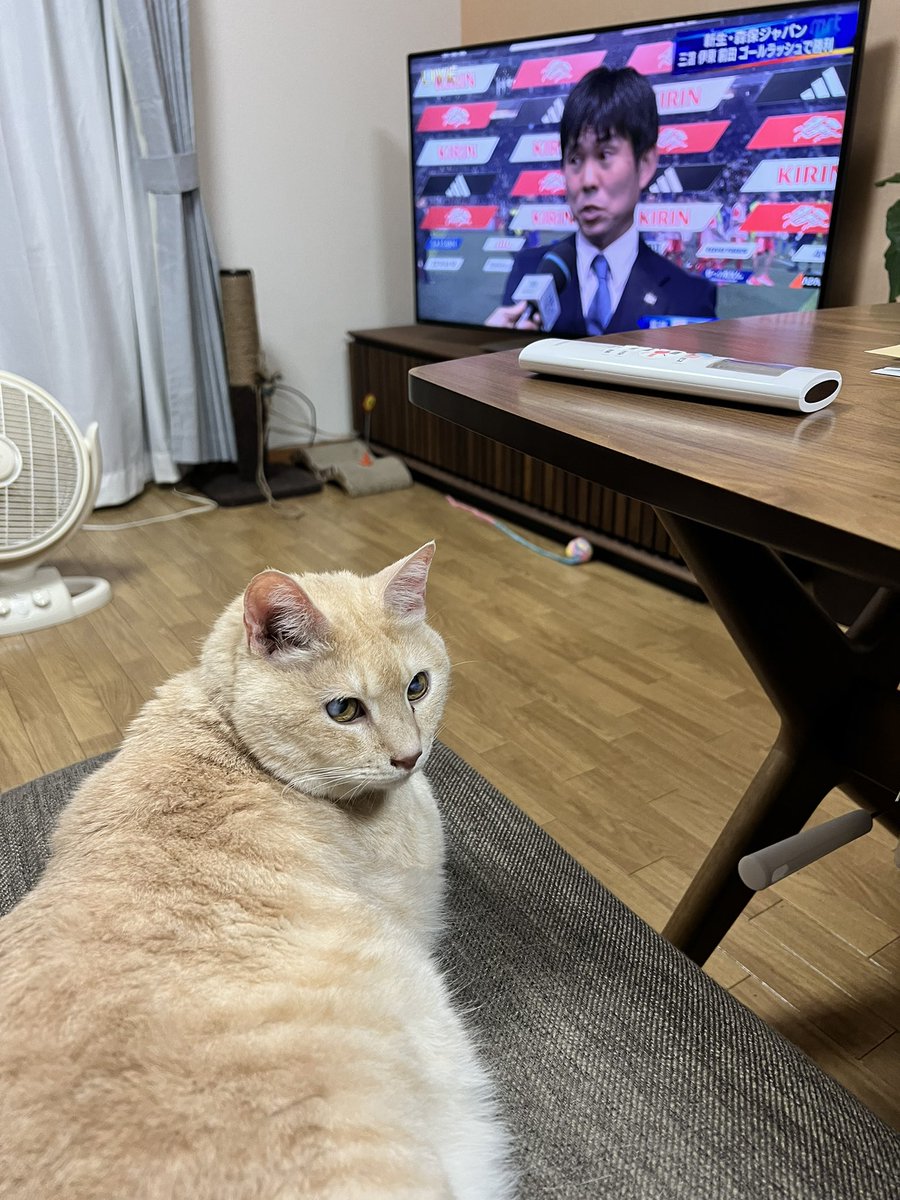 MiyazakiVolley's tweet photo. ペルーに4-1の勝利

なーんだか、サッカーも野球も、バレーも、強くなったねぇ、JAPAN 

象徴はもちろん大谷くんだけど、どのスポーツもこの世代って世界レベルなんだな
我々のころとちがって https://t.co/Qr8WcRAIVm