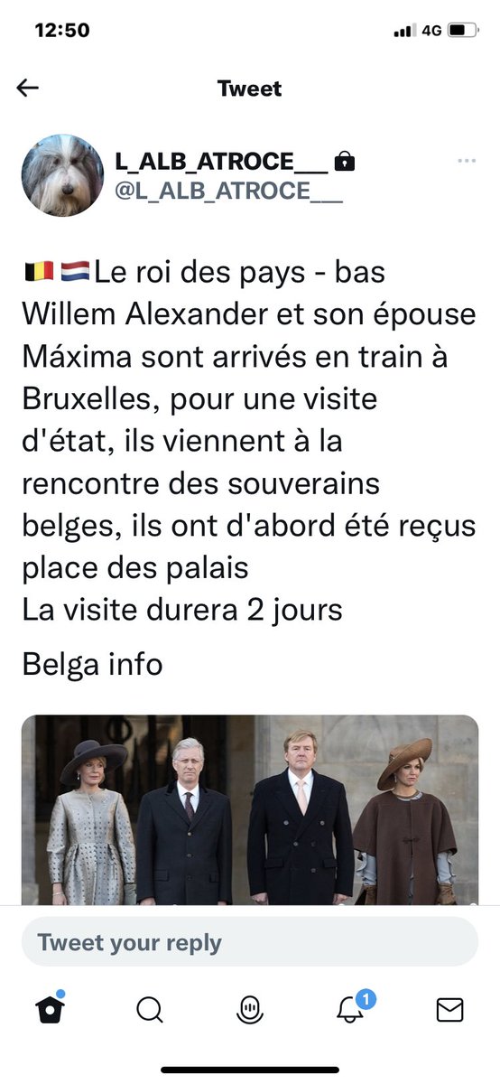 King and Queen of neighbouring countries visit each other #Bruxelles ....... #PaysBas #Belgique